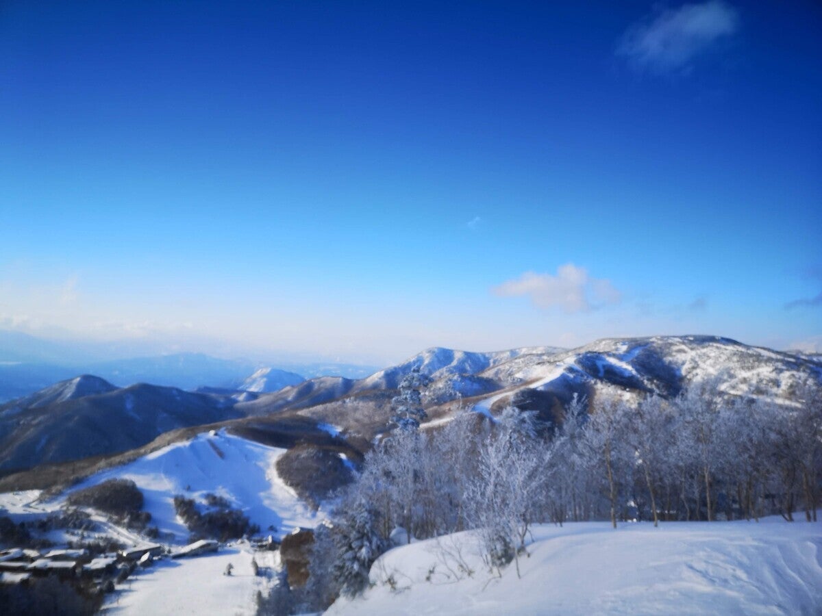 広大な志賀高原のパウダースノーを滑走! リフト券は長野県山ノ内町のふるさと納税返礼品に