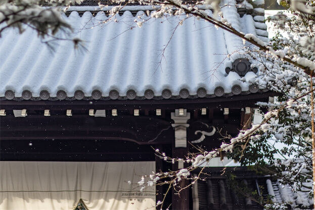 京都の五つ星ラグジュアリーホテルで過ごす、特別な宿泊体験｜HOTEL THE MITSUI KYOTO