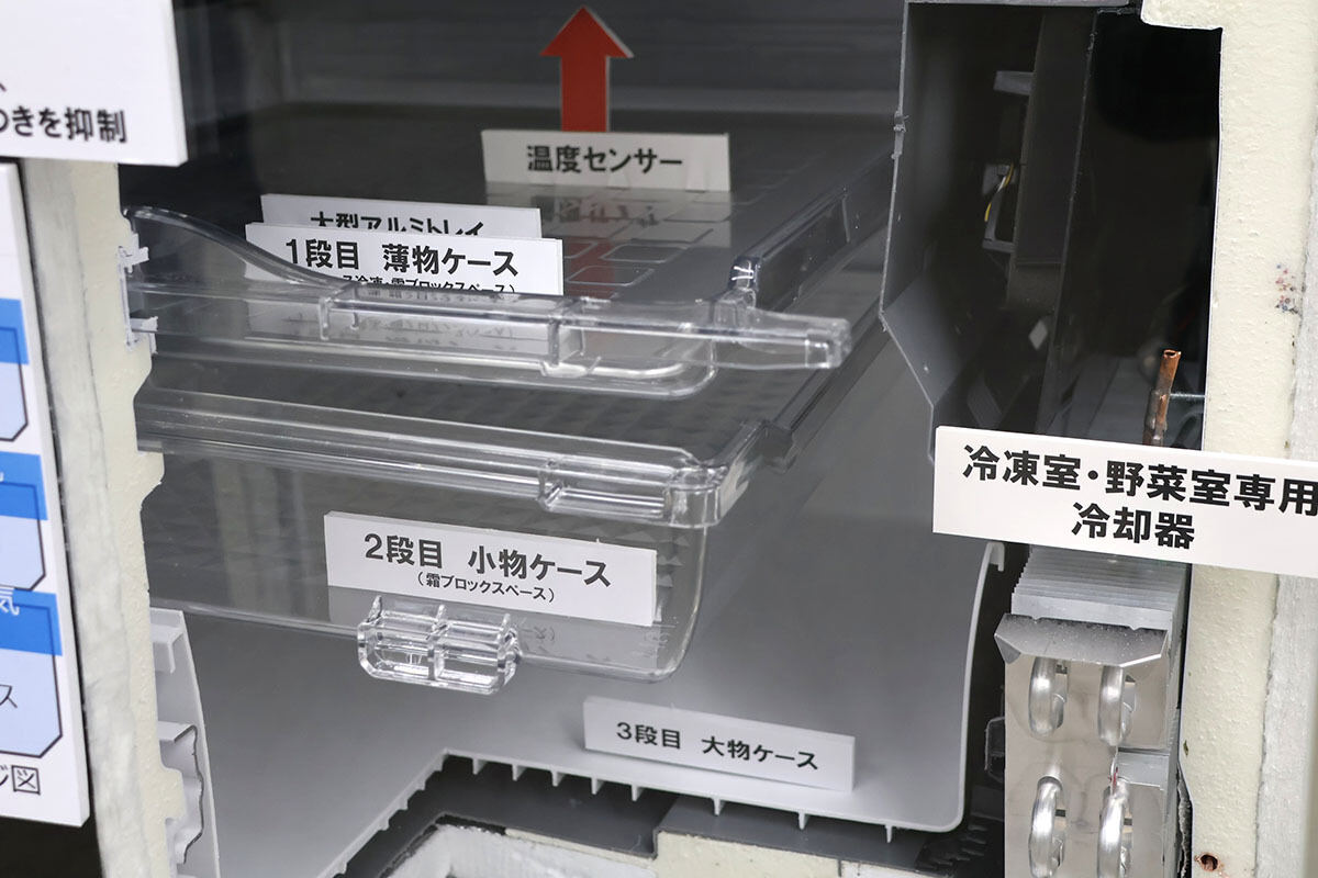 カットモデルで確認した内部構造