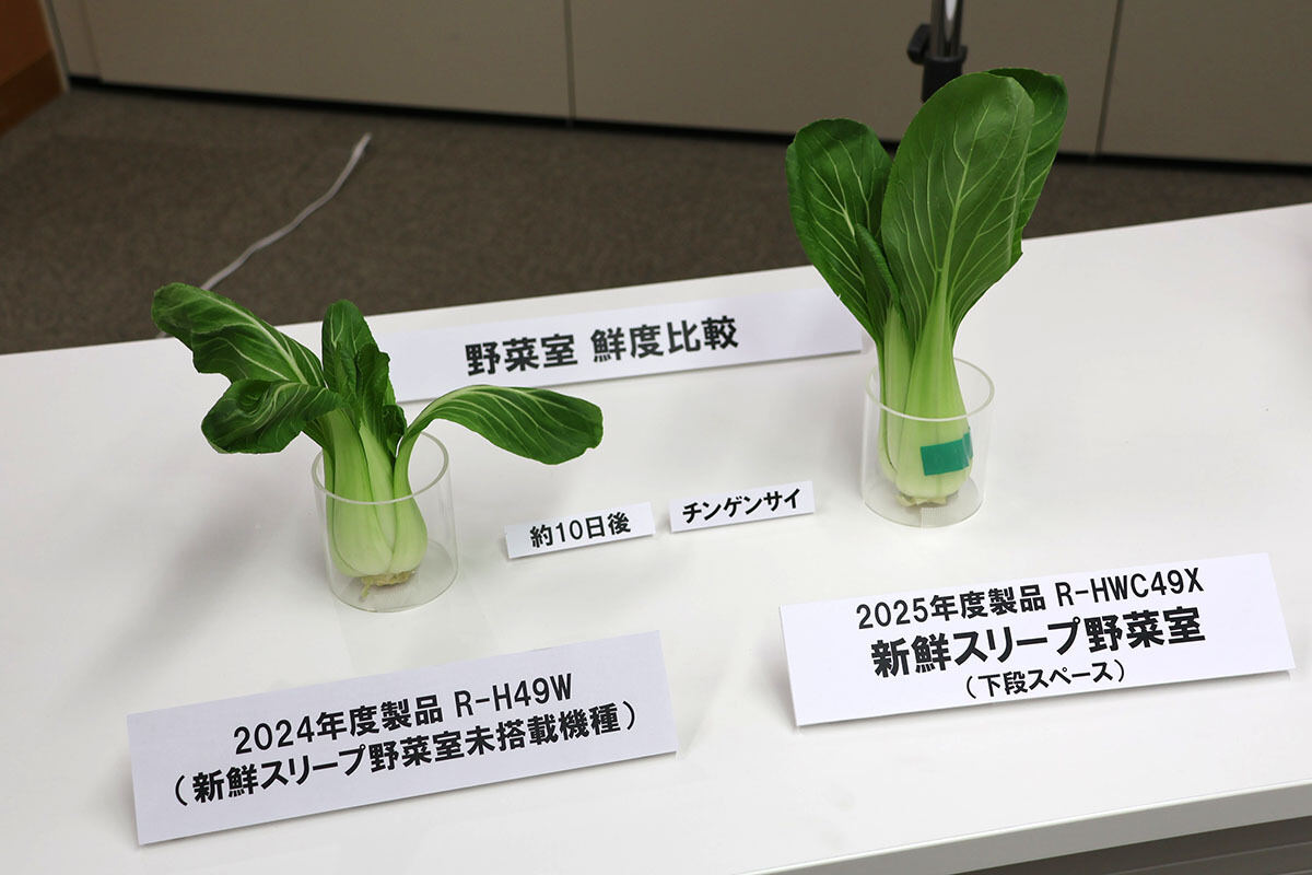 「新鮮スリープ野菜室」と「新鮮スリープ野菜室」非搭載機種、保存したチンゲンサイの比較