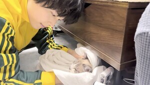 松村北斗、ヨネダ2000愛宅を訪問　保護猫の「人なれ」のため優しさ見せる