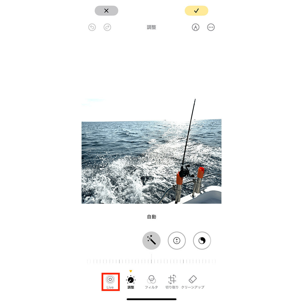 iPad iPhone Hacks