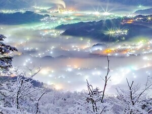 【絶景】雲海夜景と樹氷が同時に!! 幻想的な1枚に大感動!!「これはやばい」「綿飴のよう」「ひゃー美しい」
