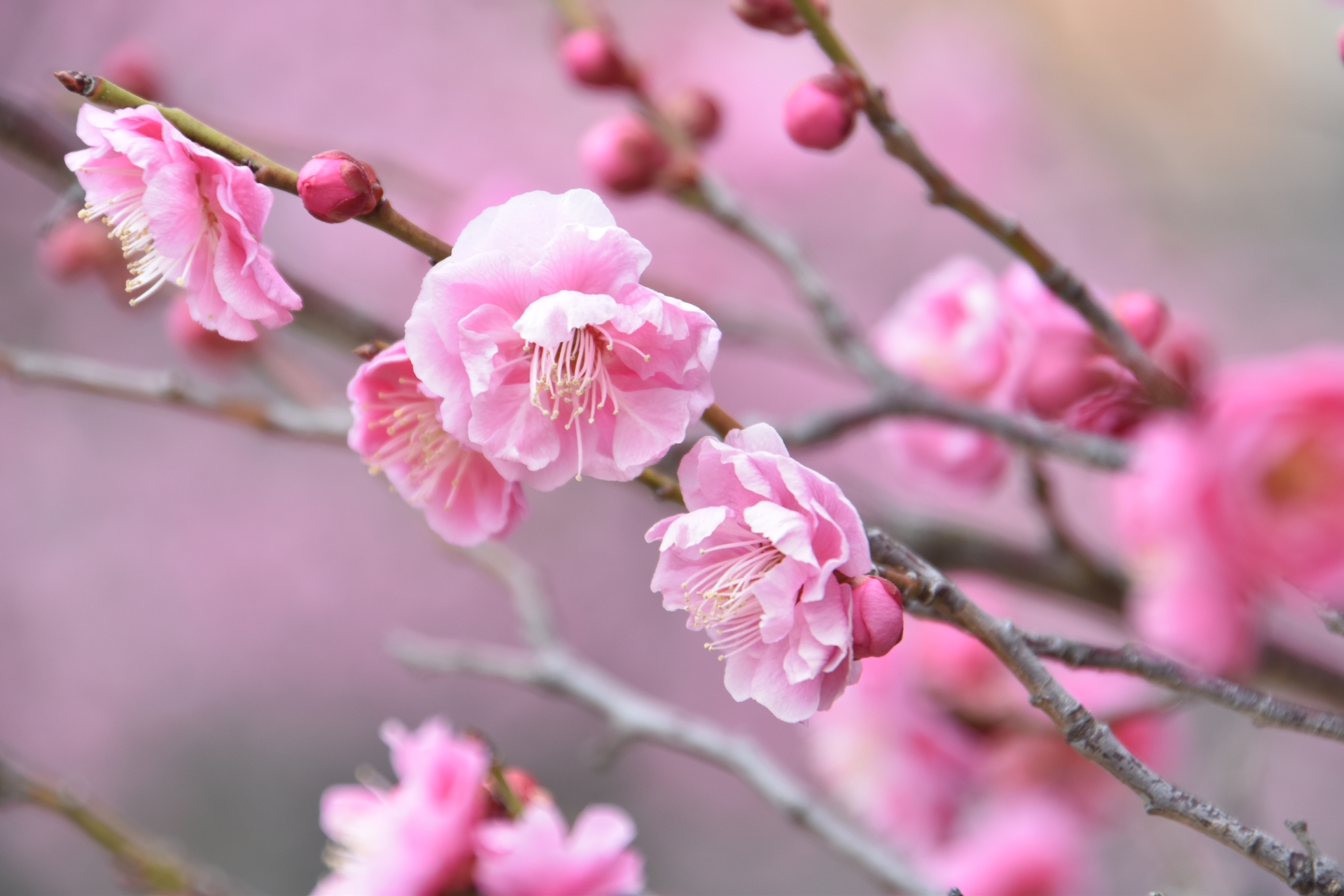春を感じるかわいい言葉(気象)