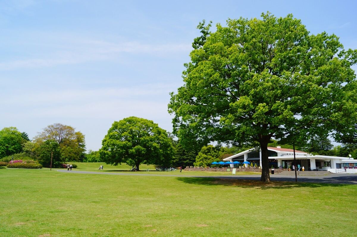 国営昭和記念公園