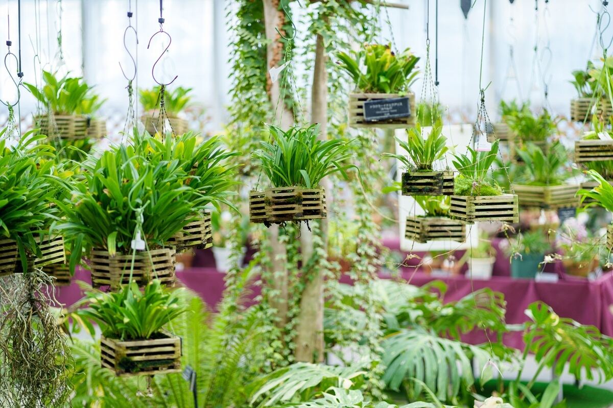 神代植物公園