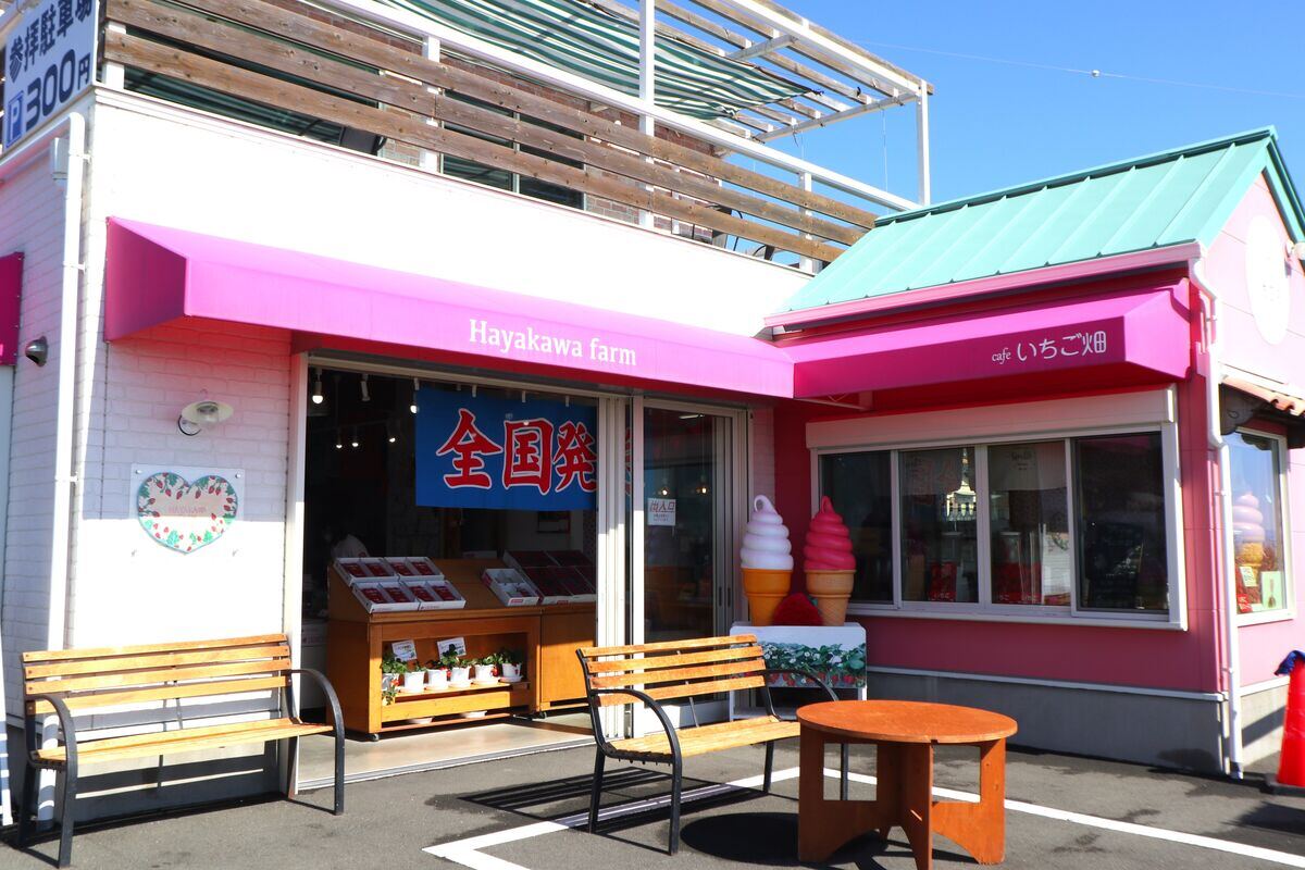早川農園café
