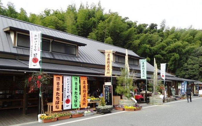 旬の味と一年中出会える福岡県八女市の道の駅とは? 春を感じるたけのこはふるさと納税返礼品に