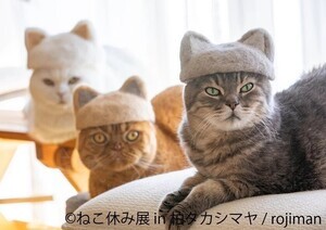 10周年記念！新作展示や歴代のスター猫が大集結する「ねこ休み展」、3月27日(木)から開催！