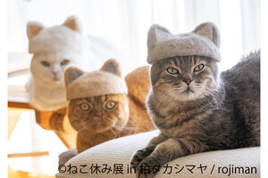 柏タカシマヤで「ねこ休み展」開催 - 10周年を記念した特別企画も