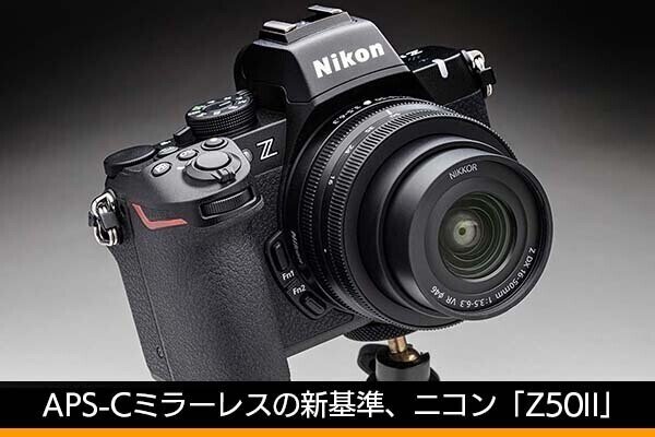 APS-Cミラーレスの新基準、ニコン「Z50II」　シグマ単焦点レンズで撮影してみた