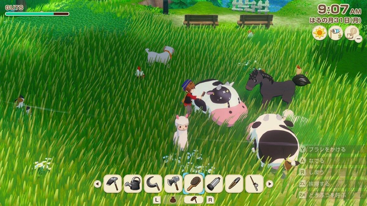 牧場物語新タイトル