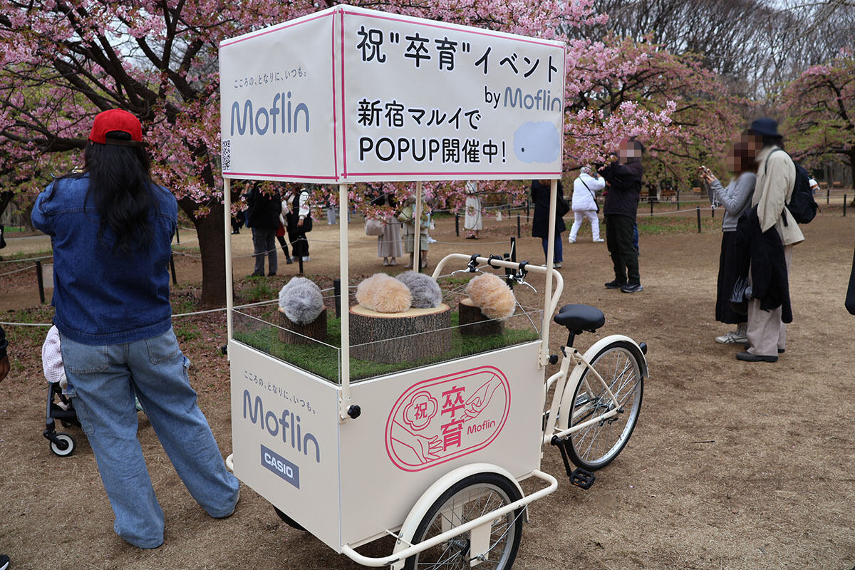 祝“卒育” お散歩カー