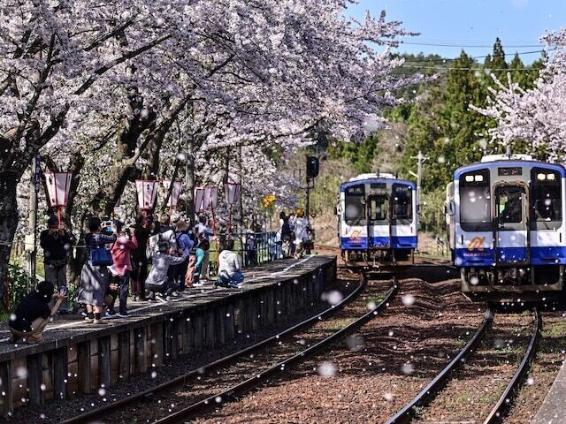 
                全国237人を対象に実施した「桜の名所」に関するアンケート調査結果から、石川で人気の「桜の名所」ランキングを発表！ 2位「能登さくら駅」を抑えた1位は？
            