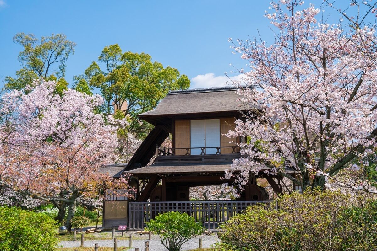京都駅周辺の暇つぶしスポット【自然】