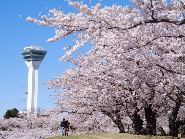 
                全国20〜70代の202人を対象に実施した「桜の名所」に関するアンケート調査結果から、北海道で人気の「桜の名所」ランキングを発表！ 2位の「北海道神宮」を抑えた1位は？
            