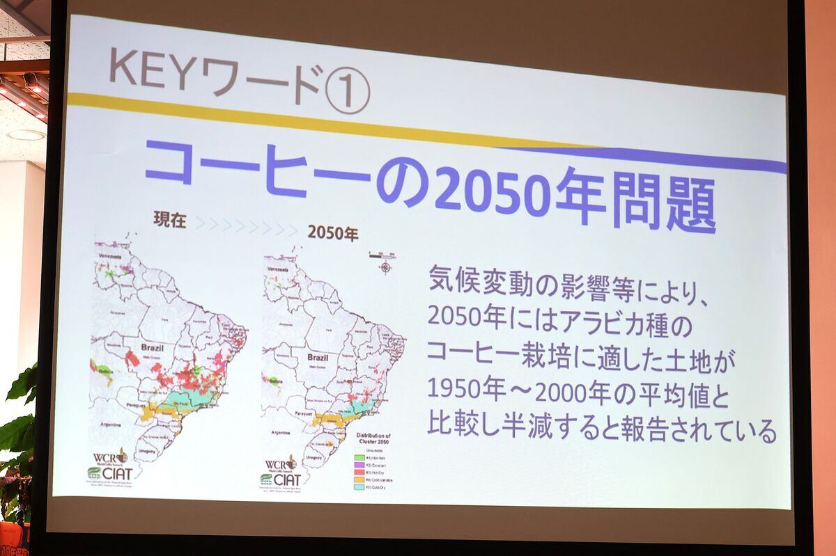 地球温暖化によりコーヒーの生産量が減ってしまうとされる「コーヒーの2050年問題」