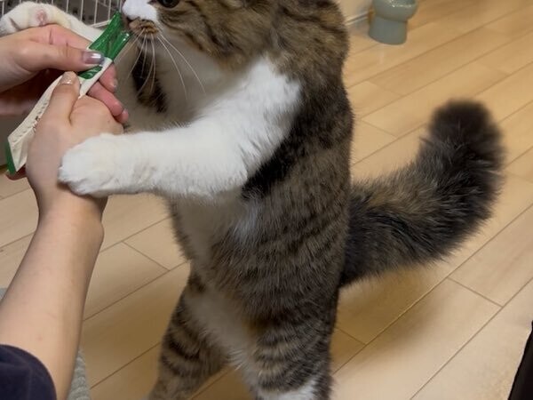 ニュース画像