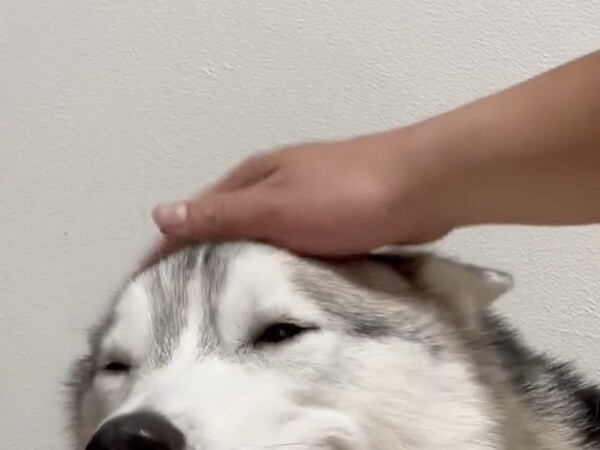 ニュース画像