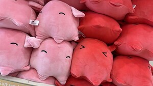【最高かよぉぉ】八景島シーパラダイス「どうあがいてもメンダコ」なくじが人気 -「1等のゲーミングメンダコがタイプすぎる」「どれも当たり!!」の声も