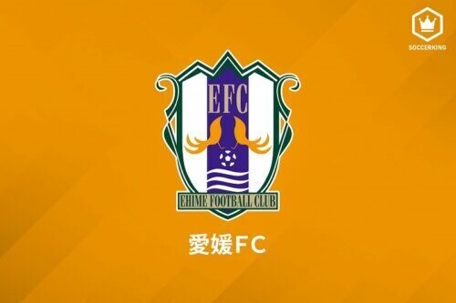 愛媛FCは25日、DF島佑成のハンマルビー移籍を発表
