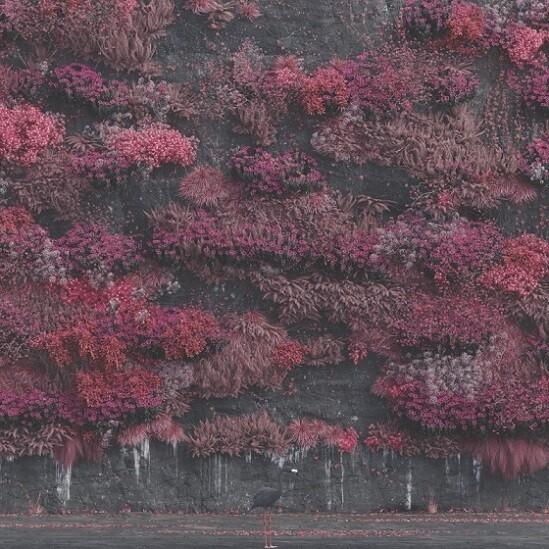 『Even In Arcadia』 ジャケット写真
