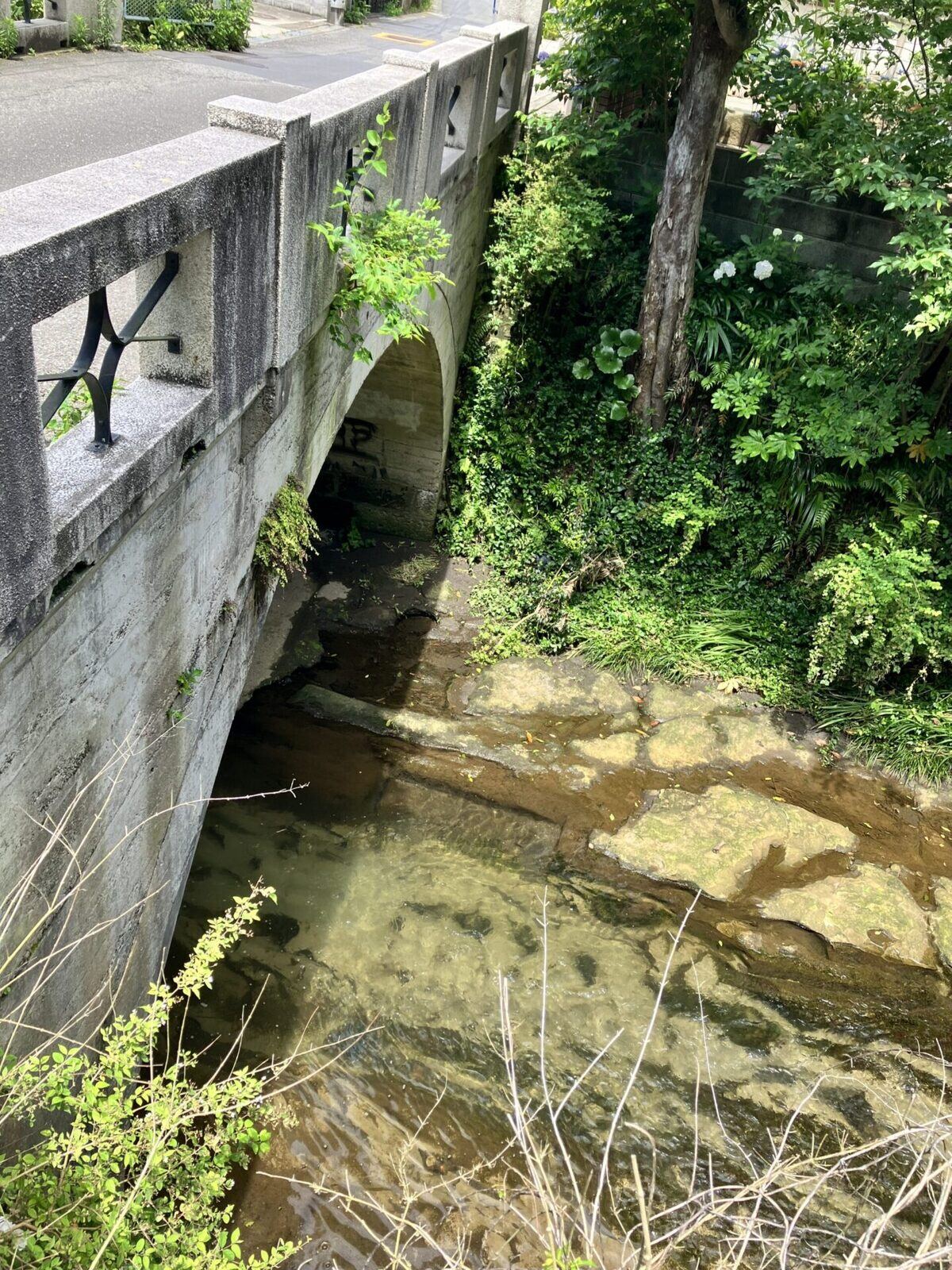 橋