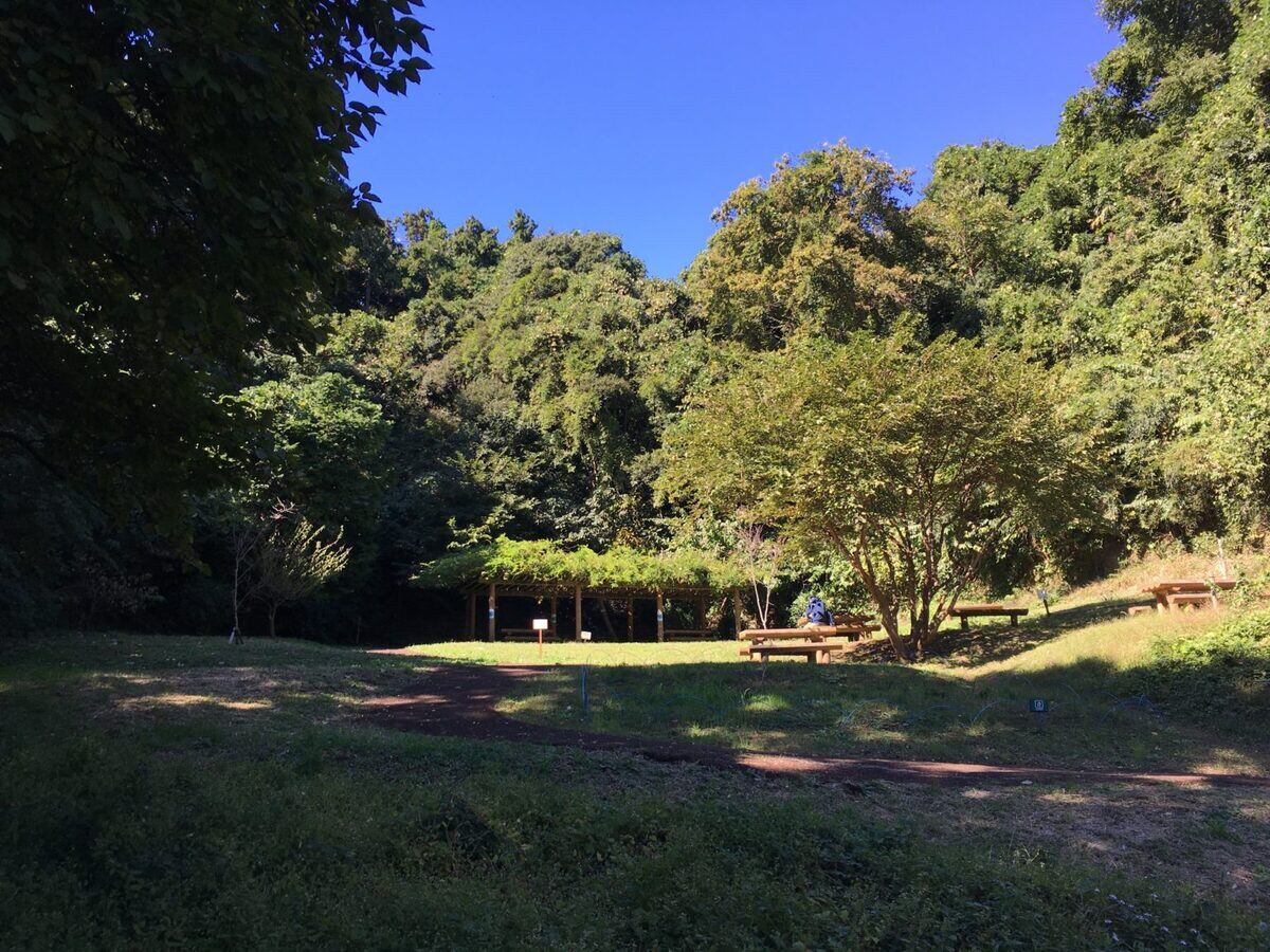 公園