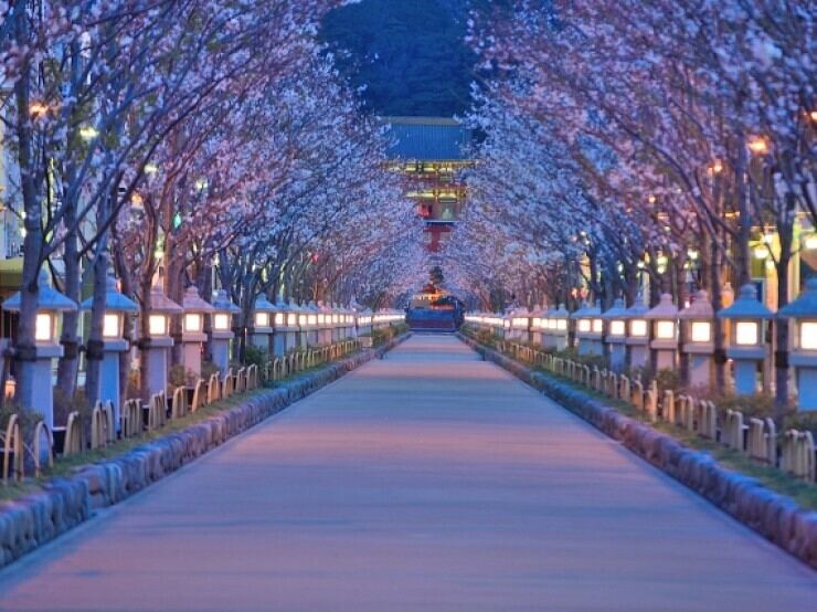 若宮大路