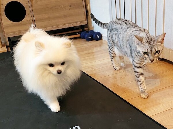 ニュース画像