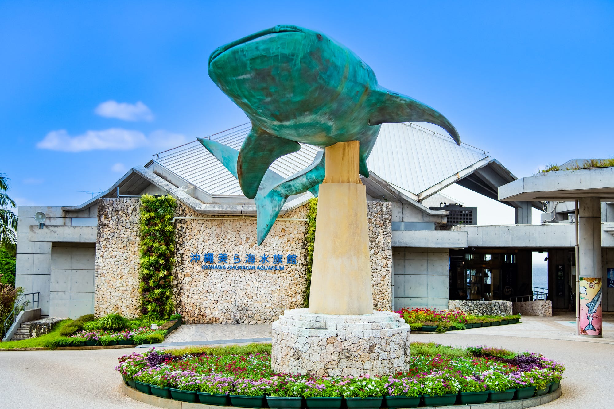 美ら海水族館