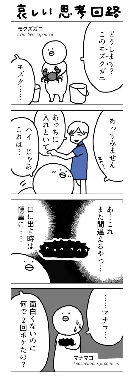 文系飼育員の水族館日報 - 第61回「哀しい思考回路」