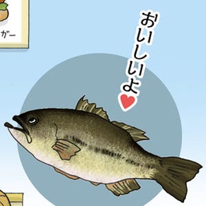 1コマ漫画 日本列島あるあるツアー 第72回 滋賀県ではあの外来魚を食べる!!