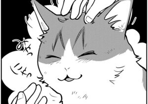 【漫画】猫と竜 第1回 森からやってきた一匹の猫との出会いが、思わぬ事態を引き起こす――!?