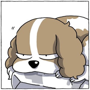 【4コマ漫画】キャバリアとの暮らし 第8回 【嫌な予感】愛犬が気に入って離さない袋は… … 