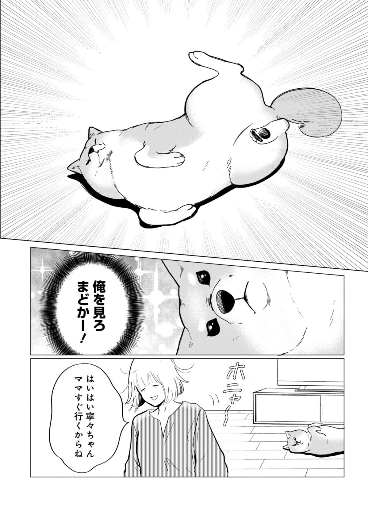 006