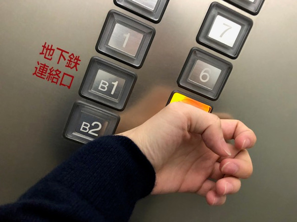 手の甲