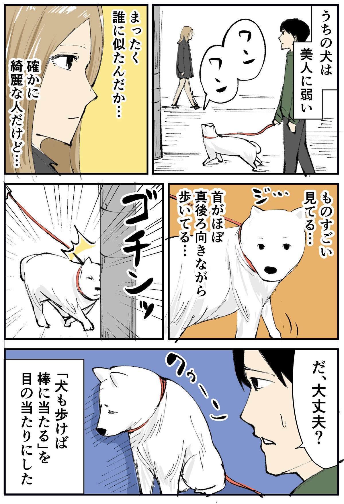 美人犬アニー | 犬 Blog