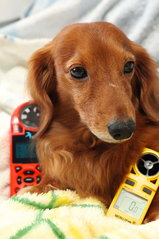 犬と家電とMacな日々 第9回 風速、消費電力、騒音の程度は? エアマルチプライアーの真の実力