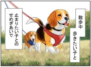 多頭飼いって大変?! 第1回 【漫画】歩きたい犬と止まりたい犬の散歩は……