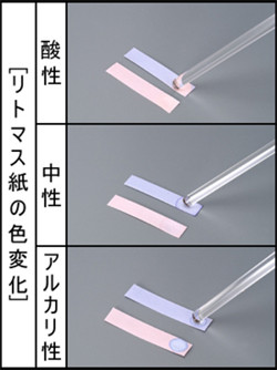 飲める リトマス試験紙 どこでもサイエンス 4 Tech