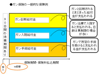 連載 人気fpが語る 生命保険研究 マイナビニュース