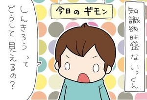 たぶん そのぶん ふたりぶん 第315回 おとうさんとおかあさんの解答の違い