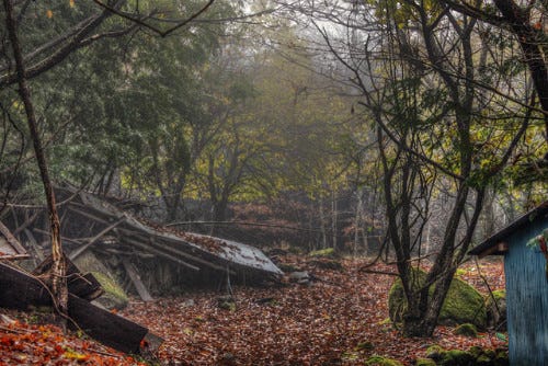 美しい廃虚の写真 50 霧の中の廃村 マイナビニュース