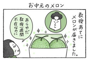 本日の秘書バナ 第207回 お中元のメロン