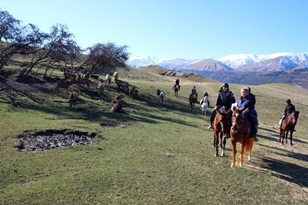 ロード オブ ザ リング ホビット ロケ地巡り In ニュージーランド 8 映画の主人公になった気分で乗馬体験 マイナビニュース