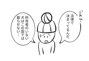 たまさんちのホゴイヌ 第5回 人が苦手な犬”ランちゃん”ー 怯える彼女にゆっくり触れてみると……