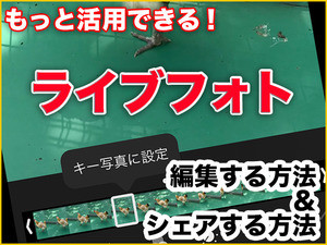 iPhone基本の「き」 第296回 iPhone「ライブフォト」をもっと活用! ベストショットの編集＆シェアする方法