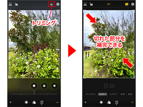 Iphone基本の き 369 Ios 13の新機能 写真 の編集機能が向上 動画にも対応 マイナビニュース