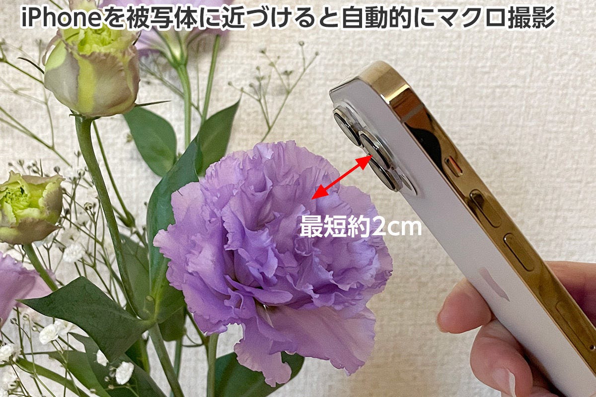 Iphone 13 Proの マクロ撮影 と マクロ撮影コントロール の使い方 Iphone基本の き 479 マイナビニュース